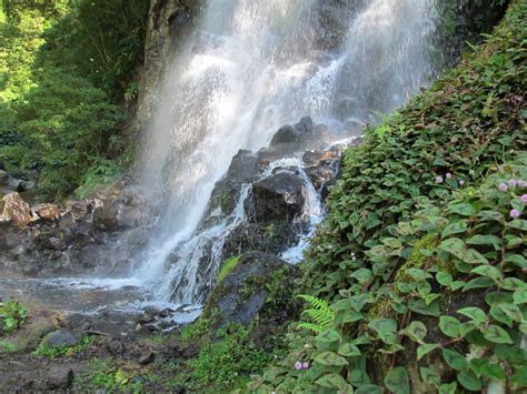 A beautiful waterfall on a beautiful island | Beautiful islands, Beautiful waterfall, Waterfall