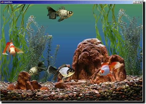 Marine Aquarium Screensaver 3 3 Keycode Legacybetta