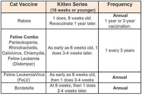 Vaccinations prevent many pet illnesses. Low Cost Vaccinations For Cats - Cat and Dog Lovers