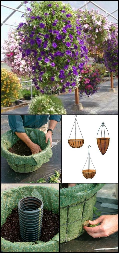 Best Nature For Hanging Baskets Boost Stomach Porch Curb