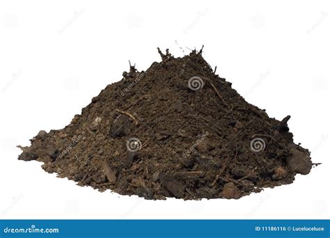 Mound Of Soil Isolated Stock Photo Image Of Soil Brown 11186116
