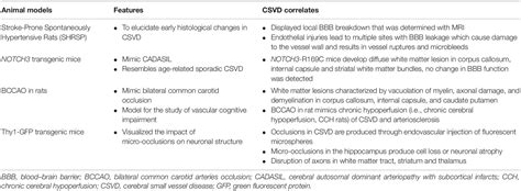 Frontiers Cerebral Small Vessel Disease Csvd Lessons From The