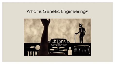 The genetically modified organisms pros and cons are discussed in the following article. Ethical Issues in Genetic Engineering by Shobhit Tyagi ...