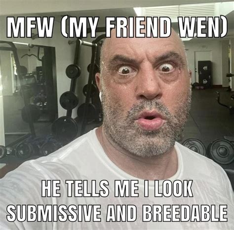 Mfw My Friend Wen He Tells Me Look Submissive And Reed Ifunny