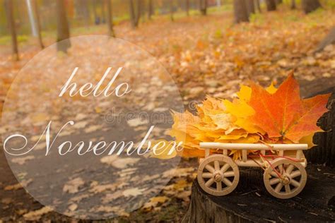 Hello November Greeting Card Autumn Leaves On The Cart Stock Image