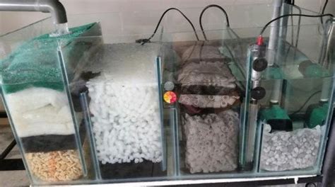 Diy Freshwater Aquarium Sump Filter Diy Projects