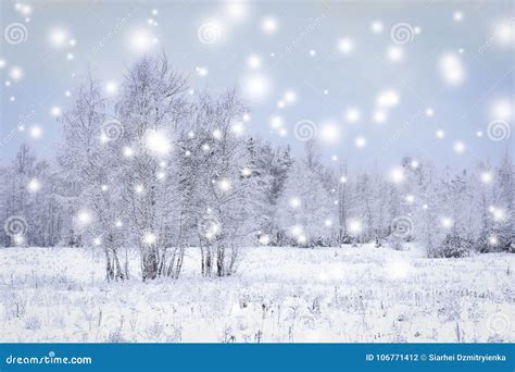 Magic Snowflakes In Winter Forest With Snowy Trees Winter Background