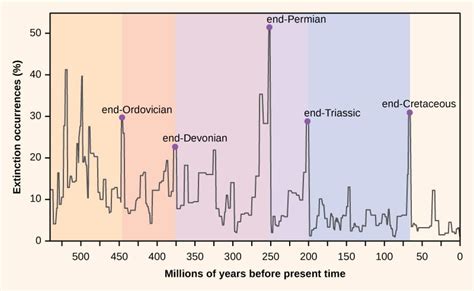 Mass Extinctions And Climate Variability Organismal Biology
