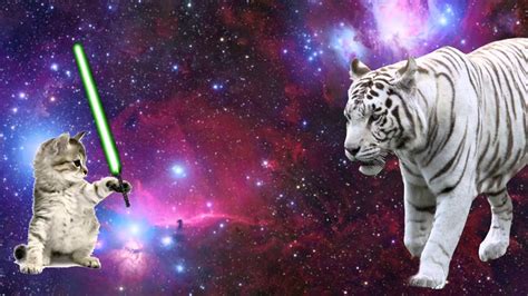 Vfx Project 1 Mega Laser Space Cats Ultra Youtube