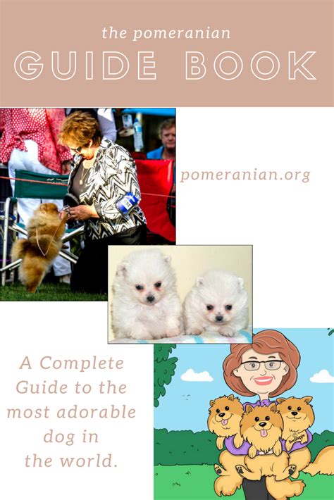 Guide To Pomeranians Pomeranian Guidebook Pomeranian Dog Pomeranian