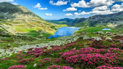 デスクトップ壁紙 自然 風景 雲 空 ピンクの花 岩 山々 湖 真珠 ルーマニア Retezat National