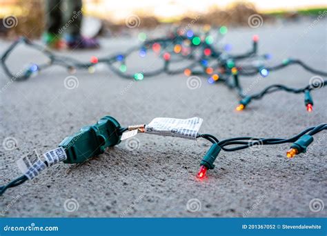 Daisy Chain Two Strings Of Christmas Lights Stock Photo Image Of