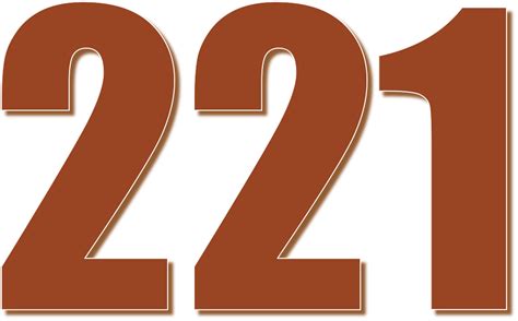 221 — двести двадцать один натуральное нечетное число в ряду