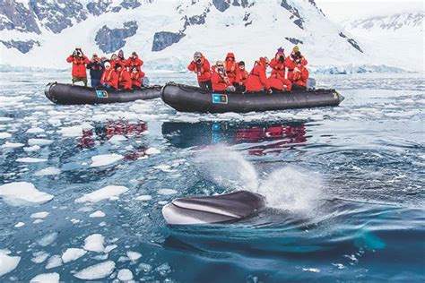 Cruising The Antarctic Which Boat To Take Cruise Antarctica Adventure
