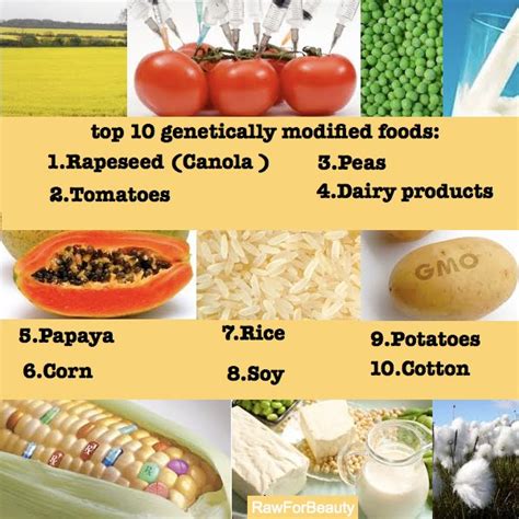 Top 10 Gmo Foods