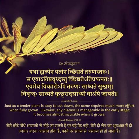 10 lines on diwali in hindi for class 1 to 3. Sanskrit Shloks: Sanskrit Quotes, Thoughts & Slokas with ...