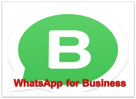 Whatsapp Business App A Boon For Smbs Details Download Apk Vishesh