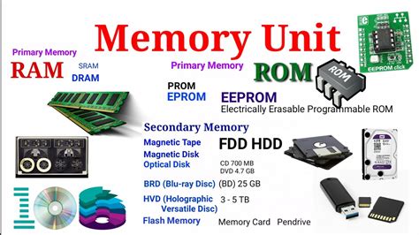 Memory Types Primary Or Secondary Memory Youtube