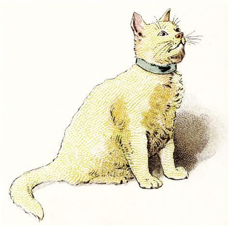 Vintage Cat Clip Art Free Printable