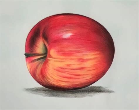 Realistic Apple Drawing With Colour Pencils Drawing By Prakash Velpula