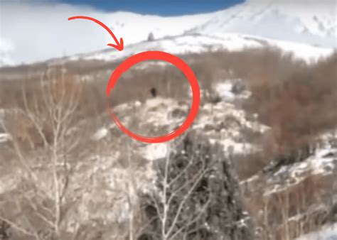 Video Bigfoot Caught On Camera Near Provo Utah