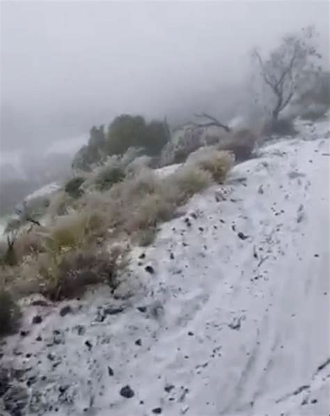 Snow Falls In Hawaii State Park For First Time Ever Metro News