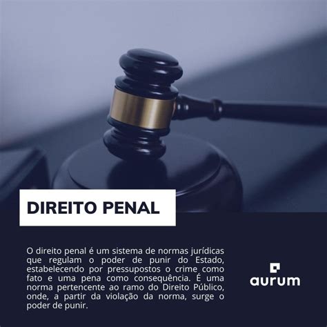 Direito Penal O Que é Função E E Seus Princípios ⚖️ 2023