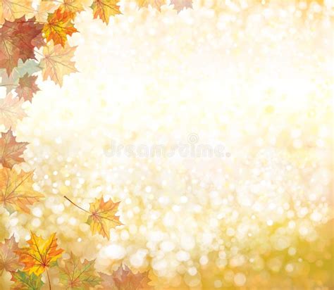 Vector Autumnal Leaves Background Stock Vector Illustration Of