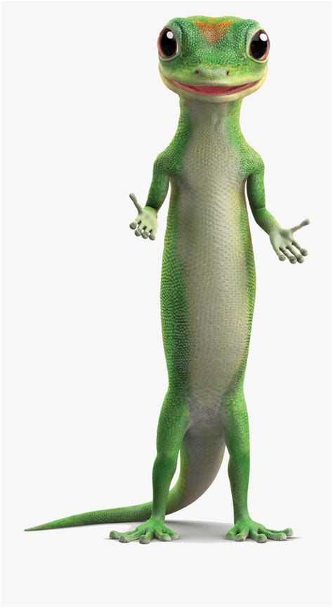 Download High Quality Lizard Clipart Gecko Transparent Png Images Art