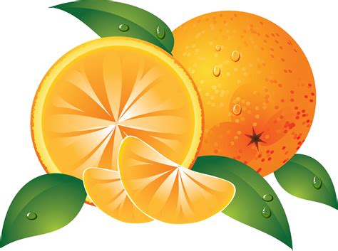 Divide In Half Orange Clip Art Free Image Download