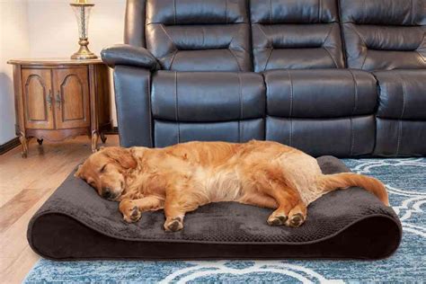 Indestructible Dog Bed 5 Best Indestructible Dog Beds Tough Beds For