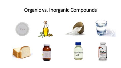 Solution Differences Between Organic And Inorganic Compounds Studypool