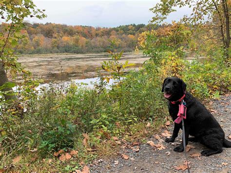 William O'Brien State Park - Minnesota