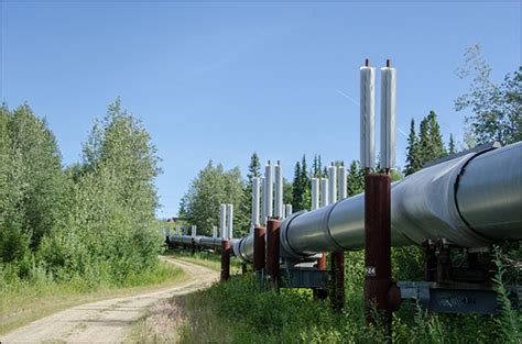 Daniel Lewis Shot A Hole That Pierced Trans Alaska Pipeline