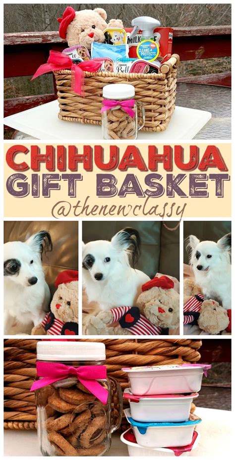 Take a look at our ideas so you can get it right and build an easter basket your kid is your kid expecting a puppy in their easter basket this year? New Puppy? 7 Things To Include In A Chihuahua Gift Basket
