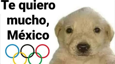 El Perro “te Quiero Mucho” Desata Memes Por Su Apoyo A México En Las