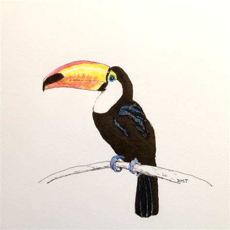 How To Draw Toucans