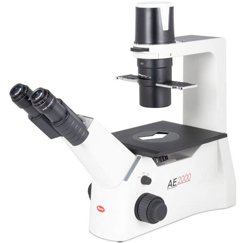 Microscope Inversé Motic Ae31e Bino Infinity 40x 400x Phase Hal 30w