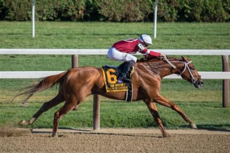 preakness preview how to watch it how to bet on it and more