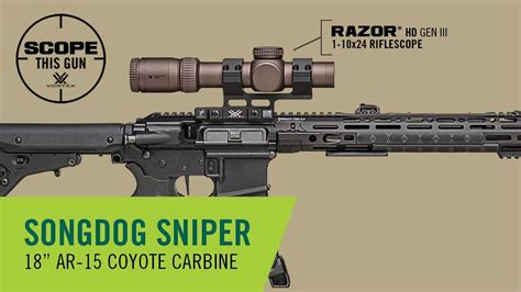 Ar 15 Build For Coyote Hunting Scope This Gun Youtube