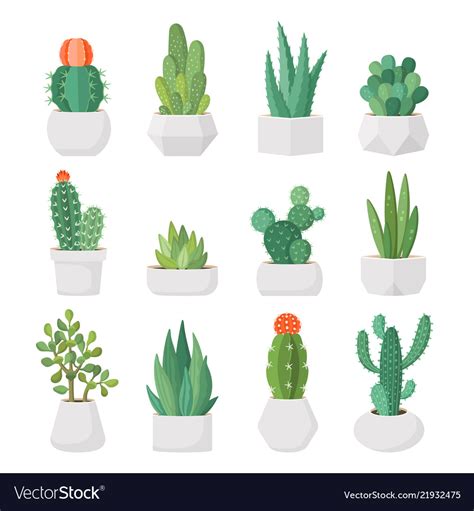 Cartoon Cactus And Succulents In Pots Set Vector Image