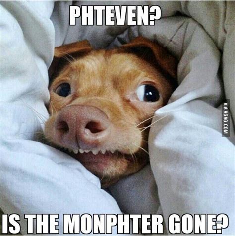 89 Best Images About Lisp Meme Dog On Pinterest 4th Birthday Pho And