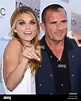 AnnaLynne McCord, Dominic Purcell attending the premiere of "I Choose ...