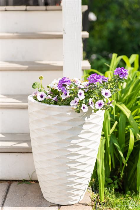 Summer Planter Ideas Easy And Stylish Picks For Your Patio Flipboard