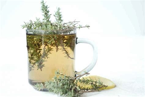How To Make Thyme Tea Simplybeyondherbs