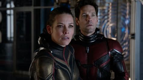 Evangeline Lilly Se Recupera De Importantes Lesiones Para Ant Man And