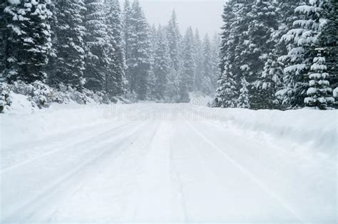 Snowy Road With Icy Conditions Stock Image Image Of Wild Outdoor