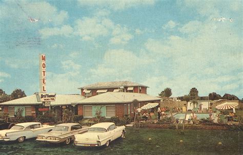 The Cardboard America Motel Archive The Driftwood Jacksonville Beach