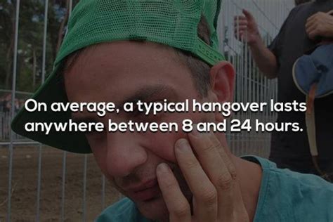 Hangover Facts 14 Pics