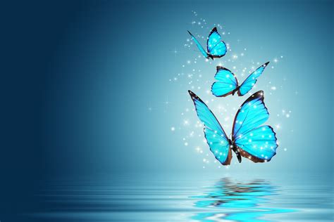 Mood Butterfly Magic Background Blue Wallpaper Widescreen